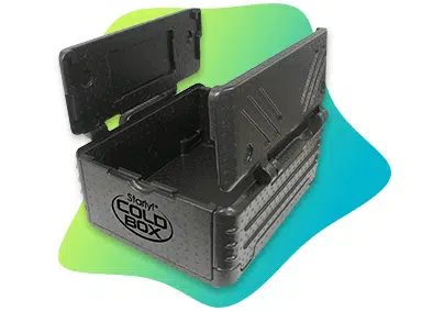21-copia-480x316