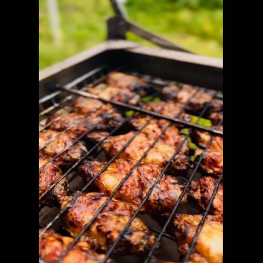 Atsiliepimas GrillMaster 180°