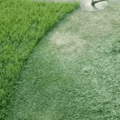 Prima e dopo la rifinitura del giardino